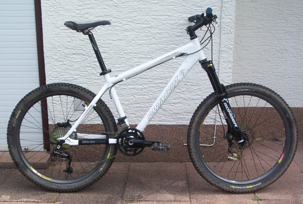 Santa Cruz Chameleon
