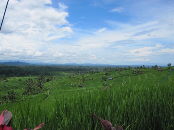 Hochland von Bali